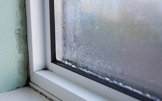 replace leaking windows