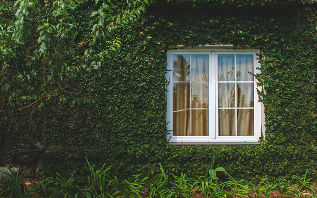 georgian windows look of house